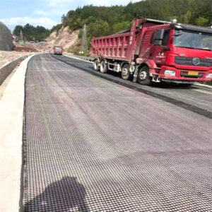 Geogrid and cement blanket