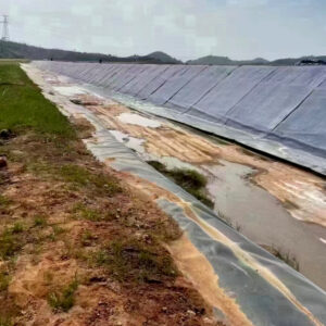 Geogrid and cement blanket