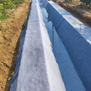 Geogrid and cement blanket