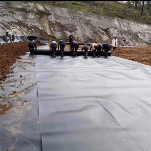 geomembrane